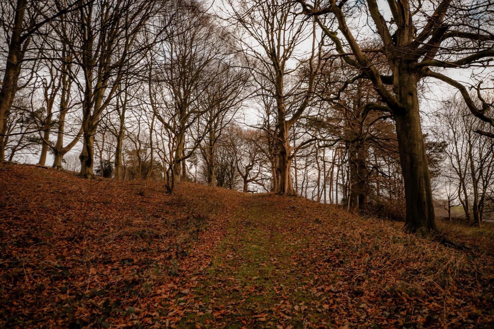 Gallows Hill Scarborough Eksteriør bilde